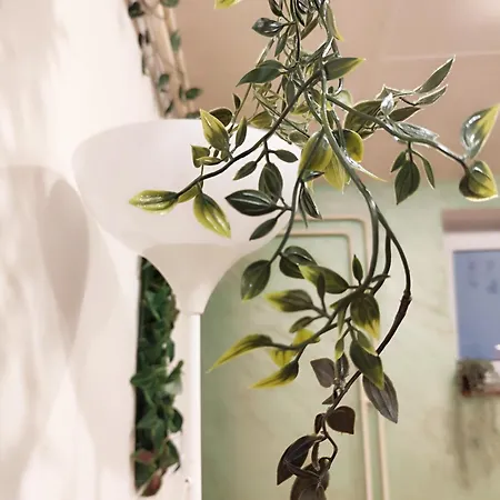 Center Obi-one Apartament Belgrad